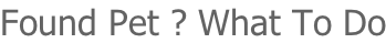 Found Pet ? What To Do